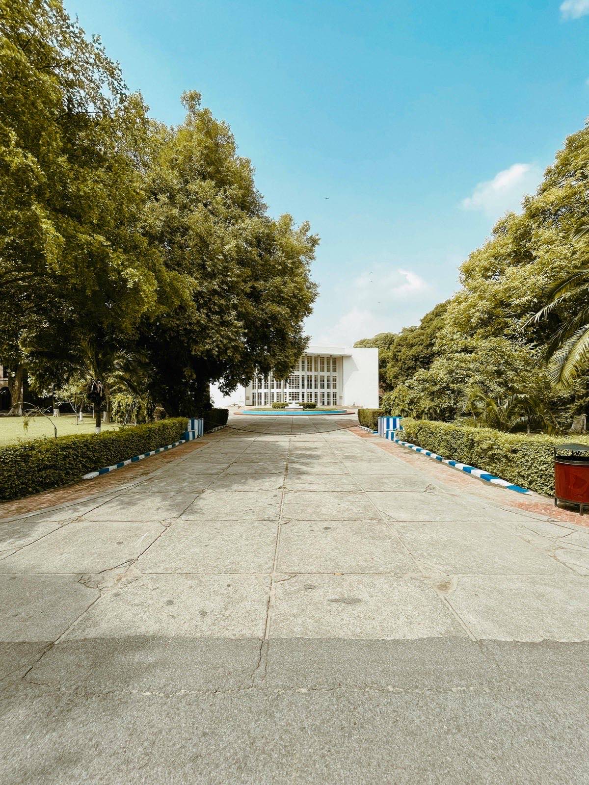 Finished plain concrete driveway